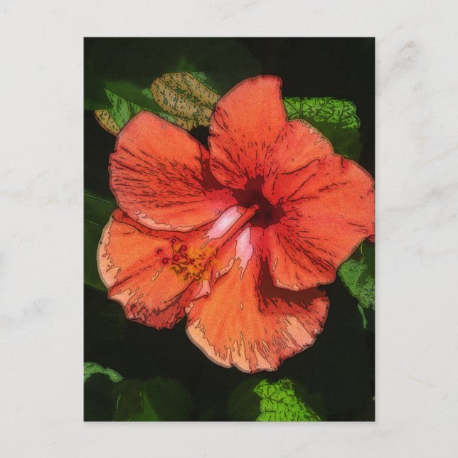 Hibiscus 424 postcard (Front)