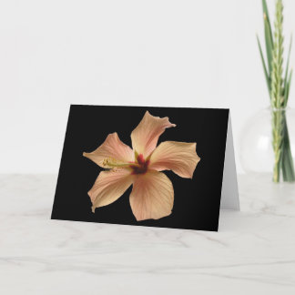 Hibiscus #4 card