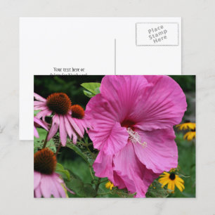 Hibiscus And Friends Flower Garden Photography Postcard