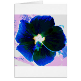 Hibiscus Azul