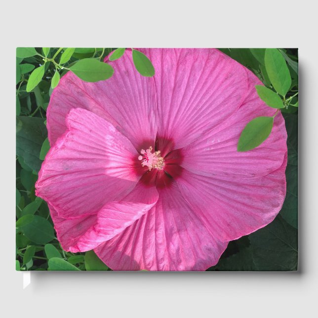 Hibiscus Bloom Guest Book (Front)