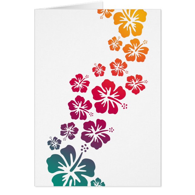 hibiscus blooms coloured (Front)