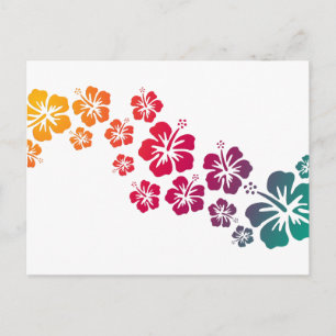hibiscus blooms coloured postcard