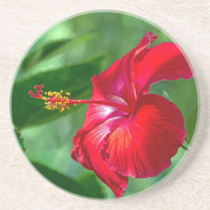 Hibiscus Blossom Coaster