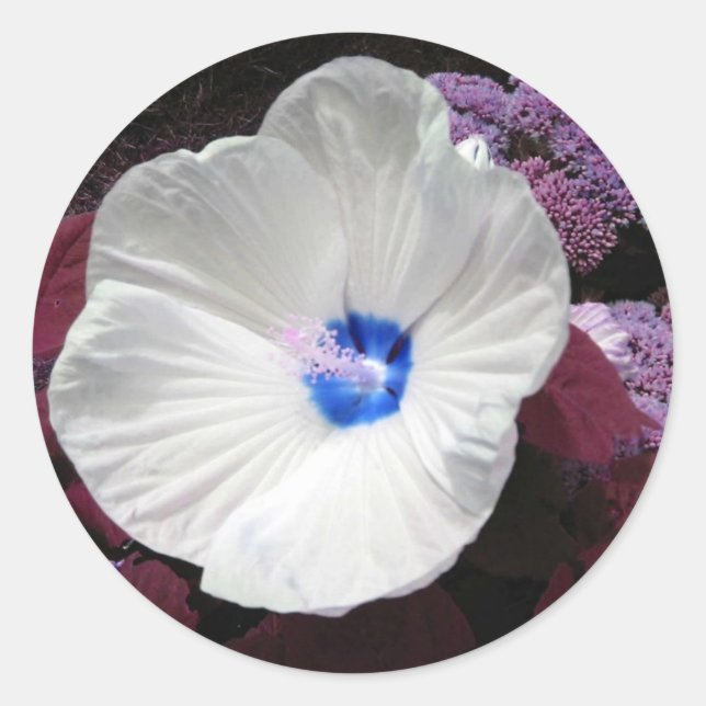 Hibiscus Blue Sticker- Customizable Classic Round Sticker (Front)