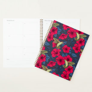 Hibiscus Botanique Vintage et Colibri