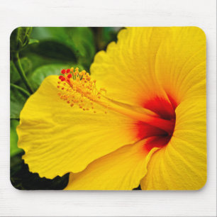 Hibiscus bright yellow mouse pad
