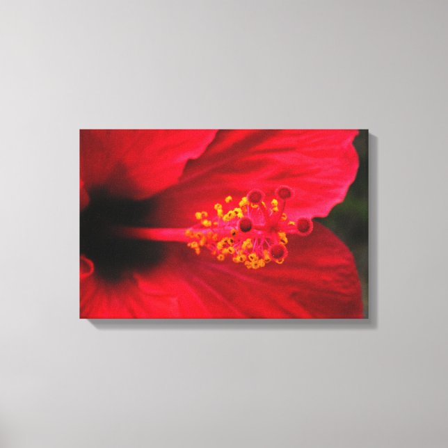 hibiscus canvas print (Front)