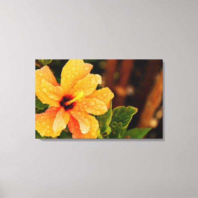 Hibiscus Canvas Print (Front)