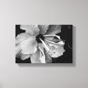 hibiscus canvas print