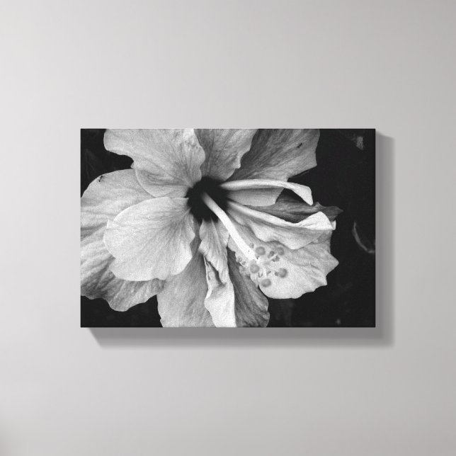 hibiscus canvas print (Front)
