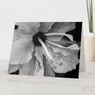 Hibiscus  card