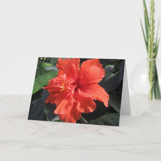 Hibiscus Card