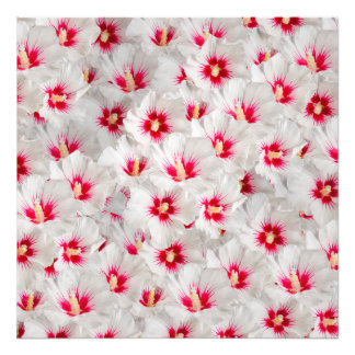 Hibiscus - Chinese Rose Flower Pattern Photo Print