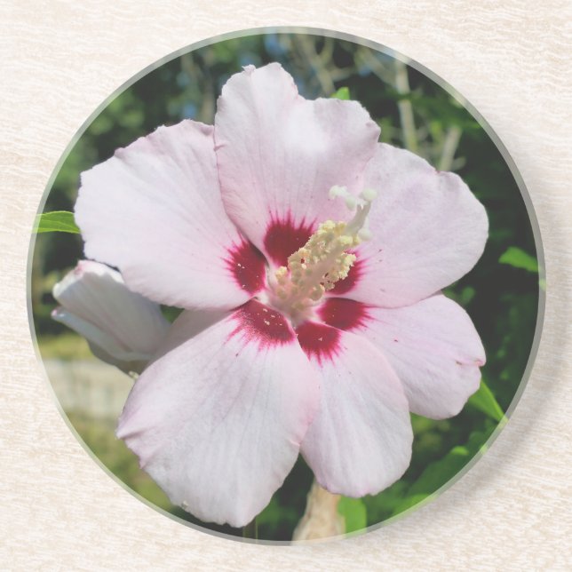 Hibiscus Coaster (Front)