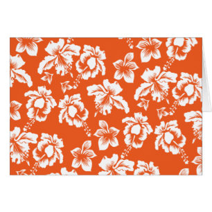 Hibiscus d'Hawaï orange