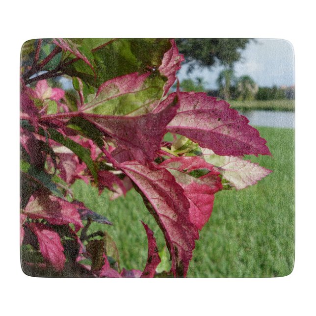 Hibiscus "Fire and Ice" Plant Cutting Board (Front)