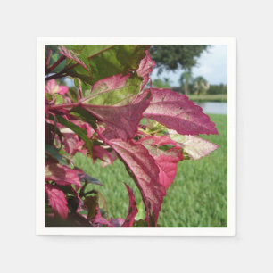 Hibiscus "Fire and Ice" Plant Napkin