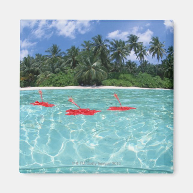 Hibiscus floating on the sea magnet (Front)