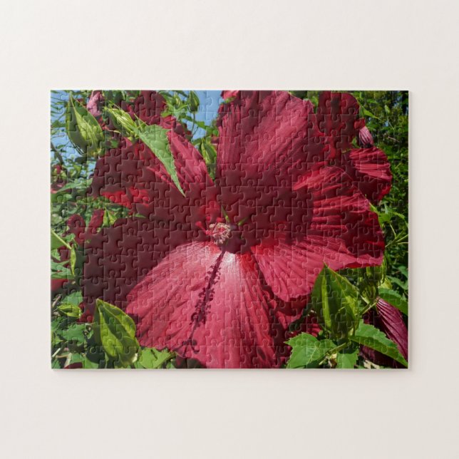 Hibiscus Flower and Blue Sky Jigsaw Puzzle (Horizontal)