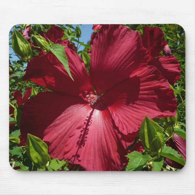 Hibiscus Flower and Blue Sky Mouse Pad (Front)