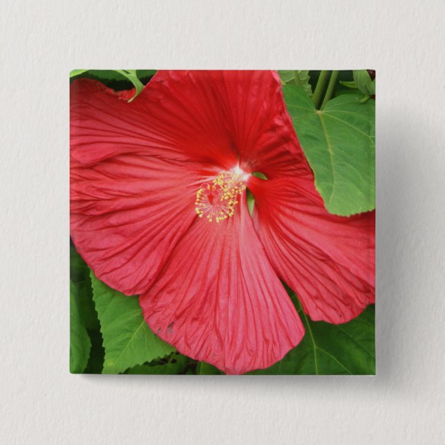 Hibiscus Flower Bright Magenta Floral 2 Inch Square Button (Front)