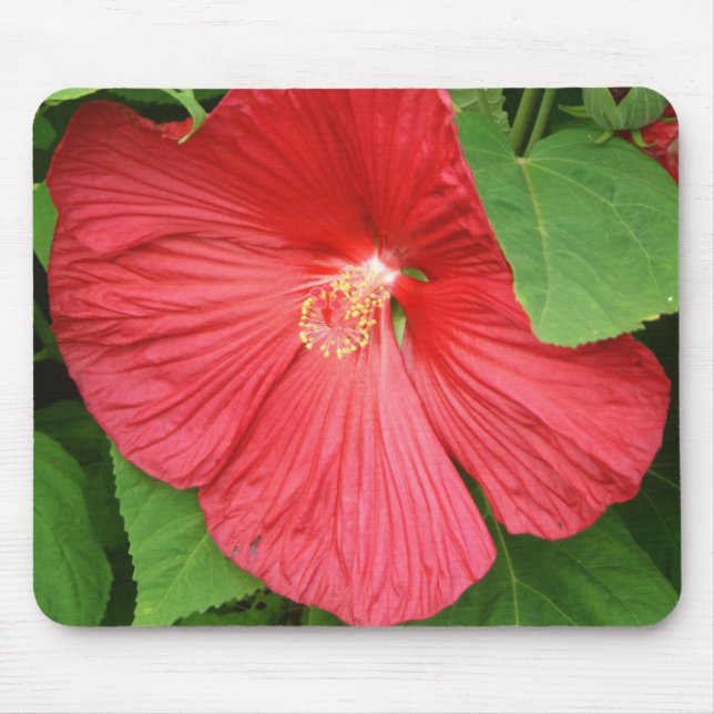 Hibiscus Flower Bright Magenta Floral Mouse Pad (Front)