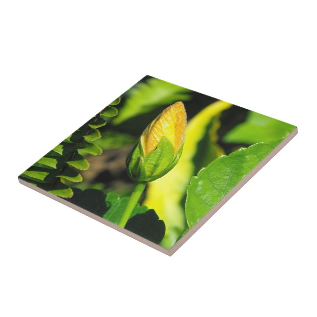 Hibiscus Flower Bud Tile (Side)