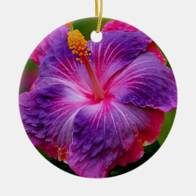 Hibiscus Flower Ceramic Ornament (Front)