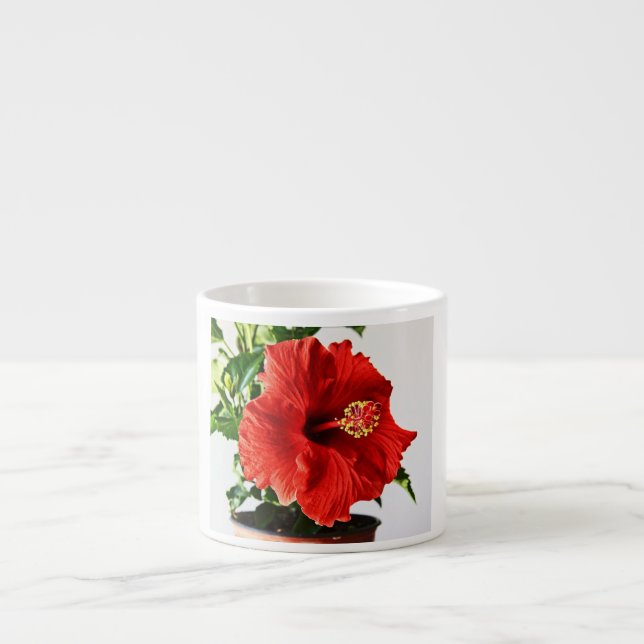 Hibiscus Flower Espresso Cup (Front)