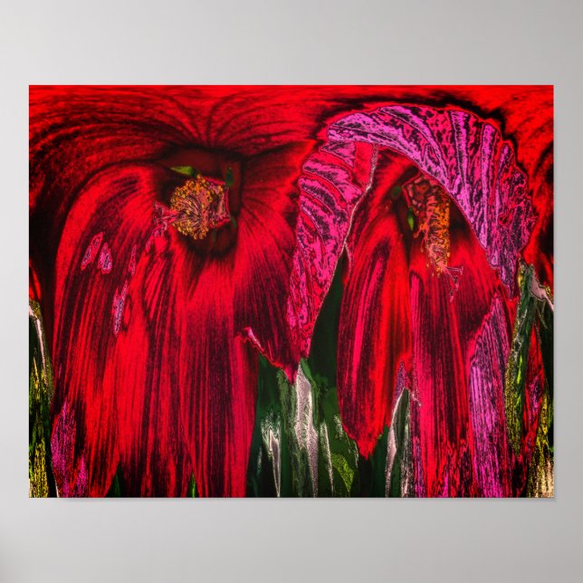 Hibiscus Flower Fantasy Floral Abstract  Poster (Front)