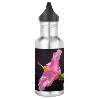 Hibiscus Flower in Profile 532 Ml Water Bottle