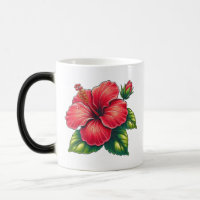 Hibiscus flower Morphing
