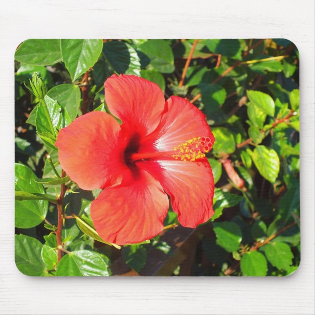 Hibiscus flower mouse pad (Front)