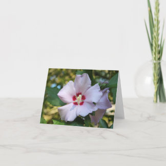Hibiscus flower note card