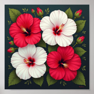 Hibiscus Flowers Poster