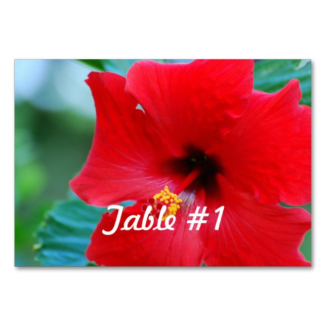 Hibiscus Flowers Table Number (Front)