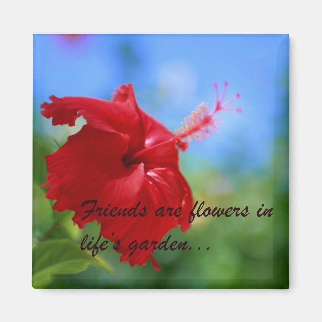 Hibiscus Friendship Quote Magnet (Front)