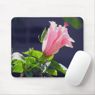 Hibiscus in Bright Sunlight Mouse Pad