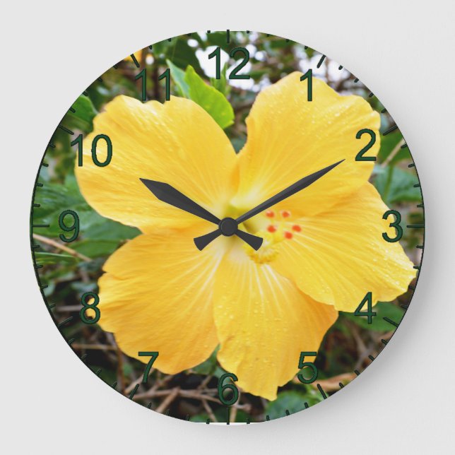 Hibiscus Jaune D'Or, Horloge Mural (Recto)