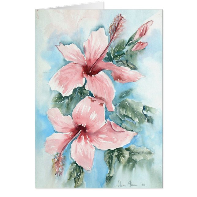 Hibiscus Joy (Front)