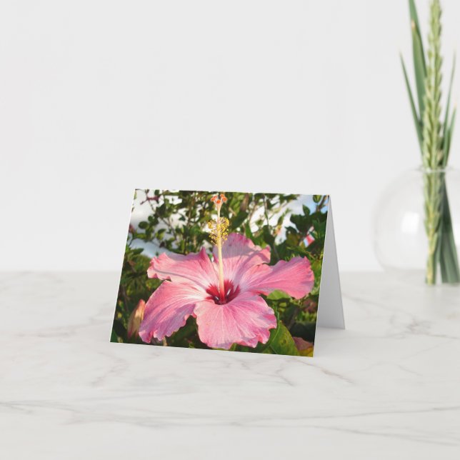 Hibiscus - L Card (Front)