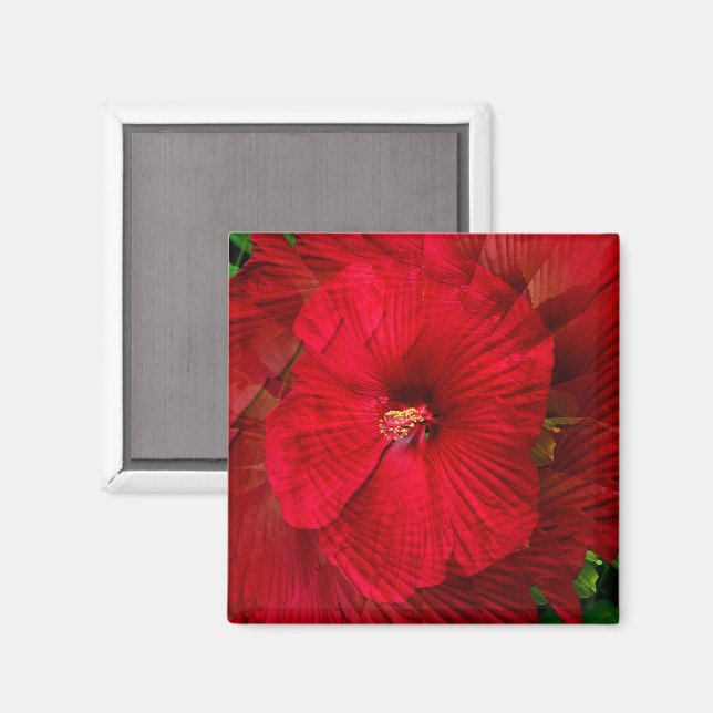 Hibiscus love..... magnet (Front/Back)
