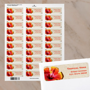 Hibiscus Orange Tropical Blossom sur l'adresse de