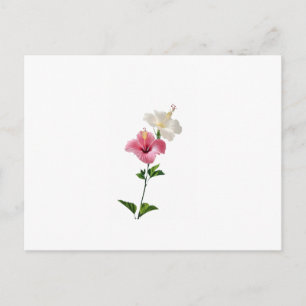 hibiscus, pink hibiscus, white hibiscus, dual flow postcard