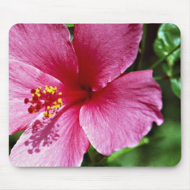 Hibiscus, pink mouse pad (Front)