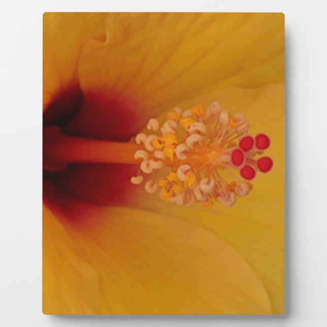 Hibiscus Plaque (Front)