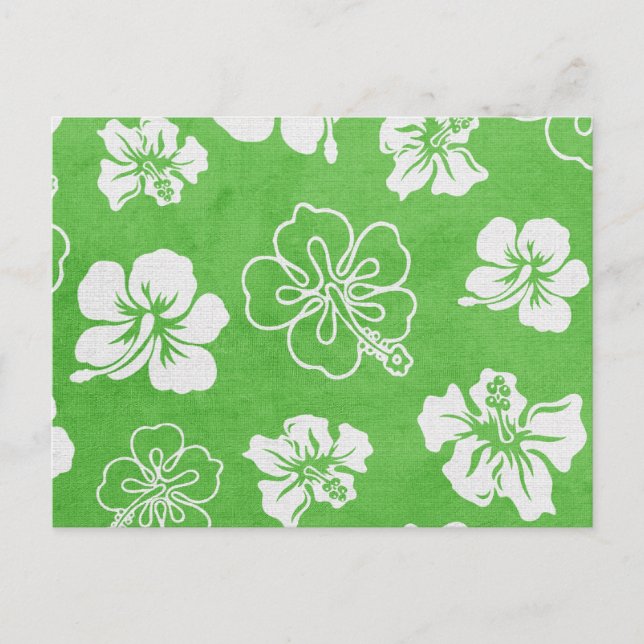 Hibiscus Postcard (Front)
