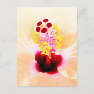Hibiscus Postcard