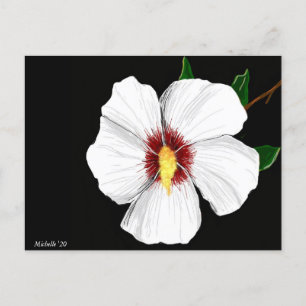 Hibiscus Postcard